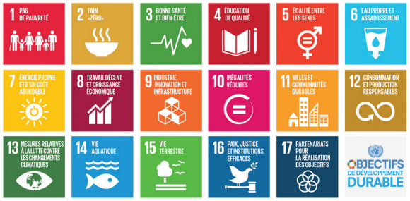 Les Objectifs du Développement Durable... - Maria Portugal-World View 