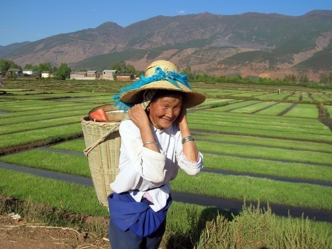 Agriculture in China: The industrial mirage... - www.mariaportugal.net